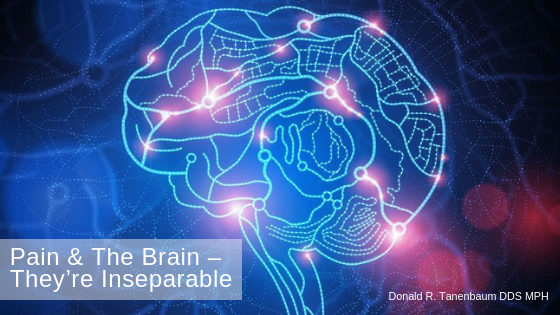 RoadmapOfBrain_tanenbaumtmj.com_painandthebrain_inseparable